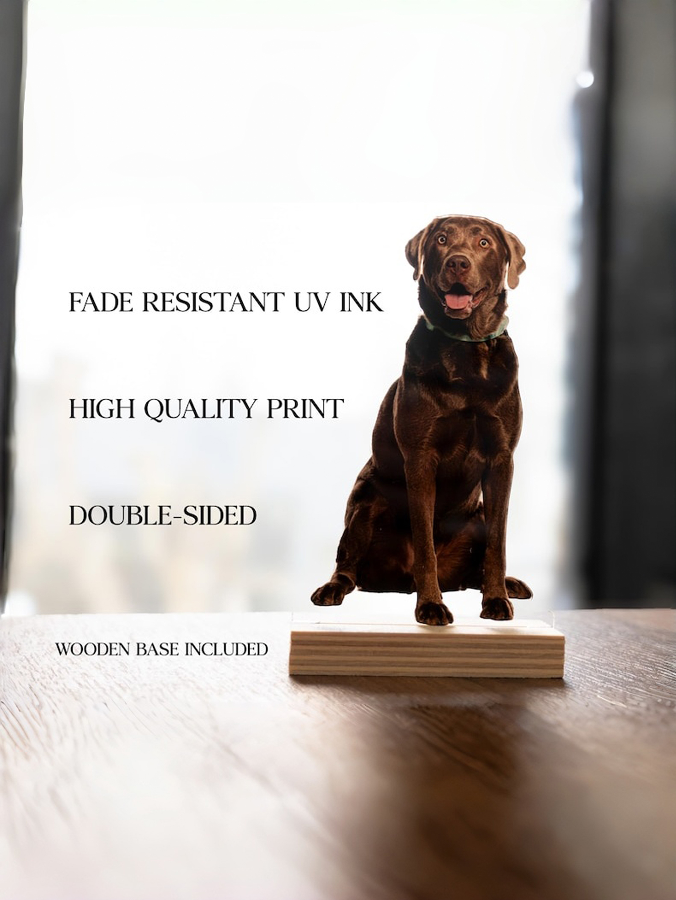 Personalized Acrylic Photo Silhouette Decoration